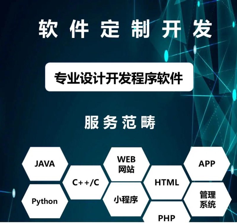软件定制开发:企业专属技术伙伴的力量